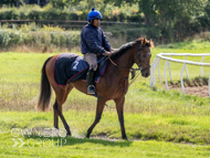 HC240925-6 - Rousham